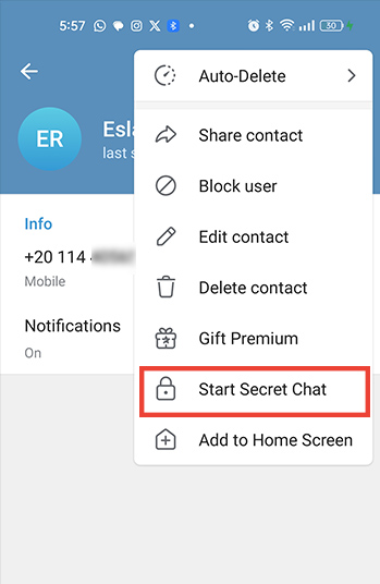دردشات سرية تيليجرام