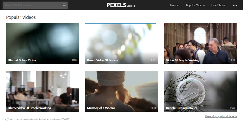 موقع Pexels أفضل المواقع لتنزيل مقاطع فيديو بدون حقوق ملكية مجانًا