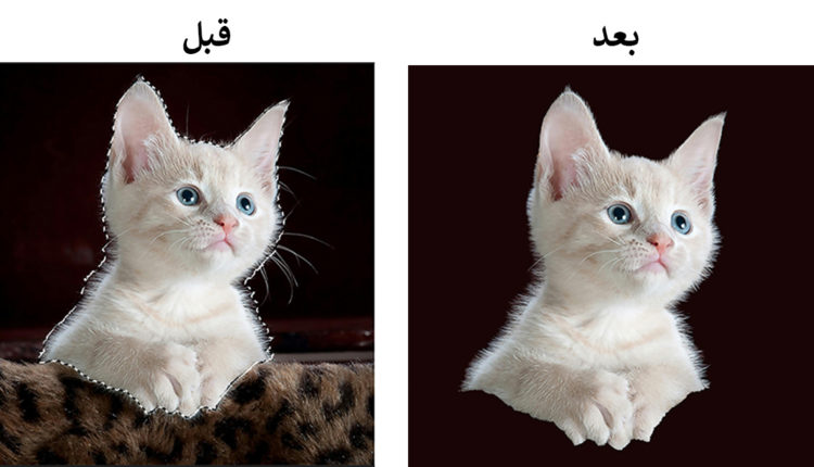 دليل شامل لازالة الخلفية من الصور