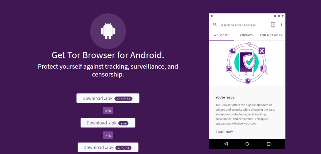 تحميل متصفح تور بشكل رسمي وبسهولة