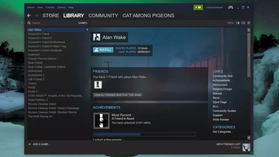 Steam gaming software