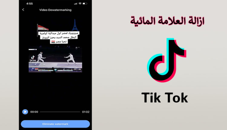 إزالة علامة تيك توك المائية