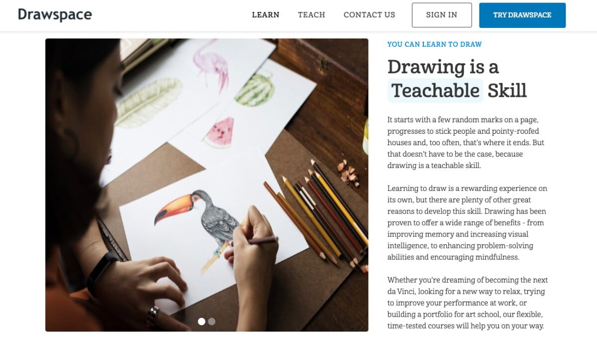 تعليم فن الرسم والتخطيط للمبتدئين