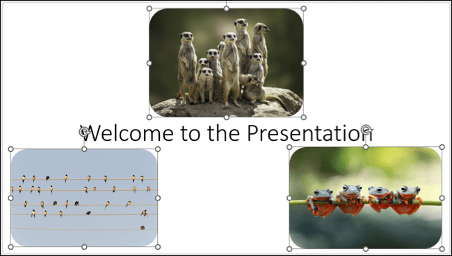  شرح كيفية عمل رسوم متحركة بوربوينت