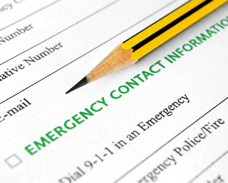 معلومات التواصل CV