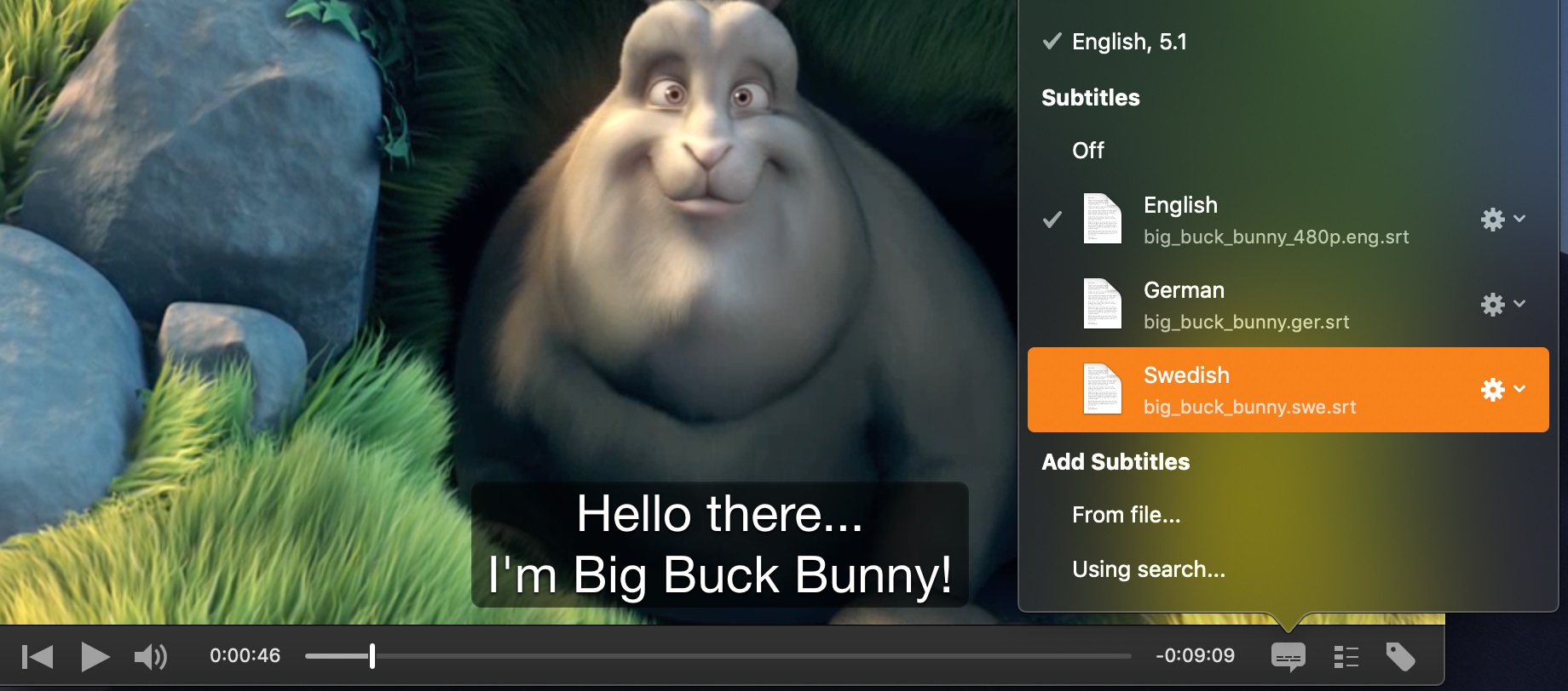 برنامج iSubtitle